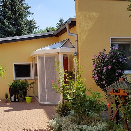 Ferienhaus Koehler Wittenberg Exteriér fotografie
